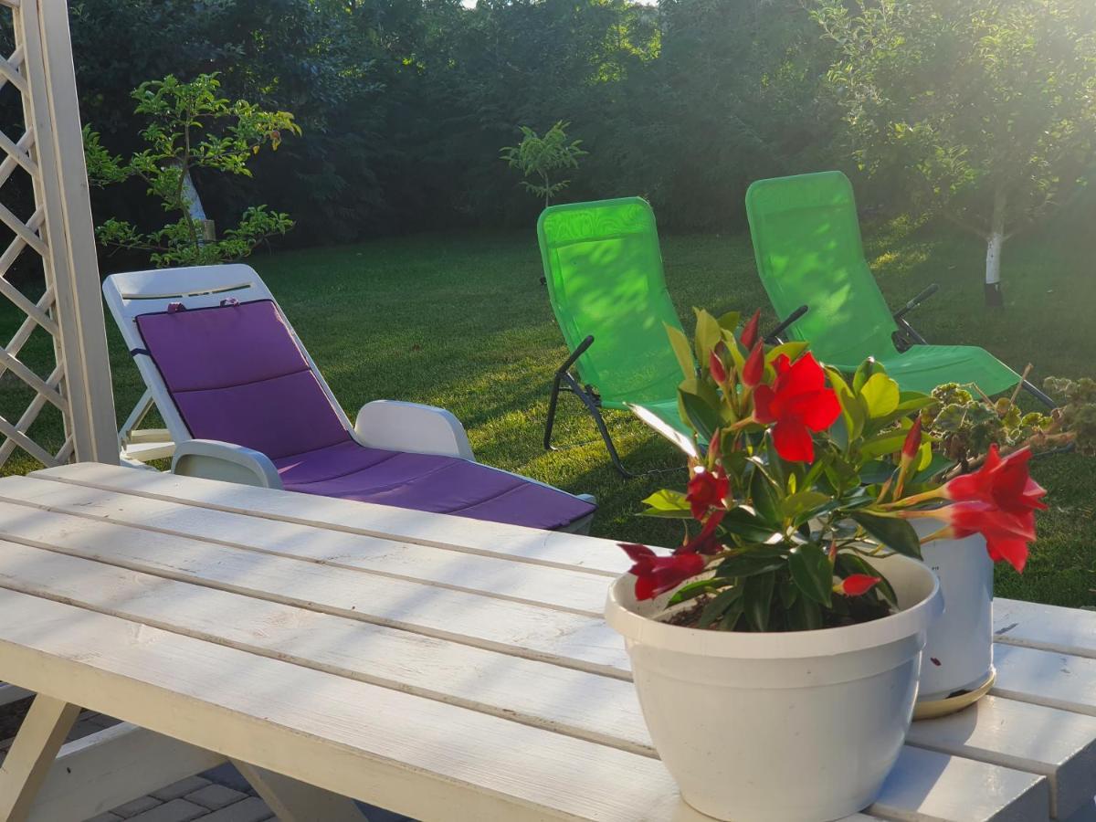 Apartament Nad Jeziorem Welle Колцево Екстериор снимка